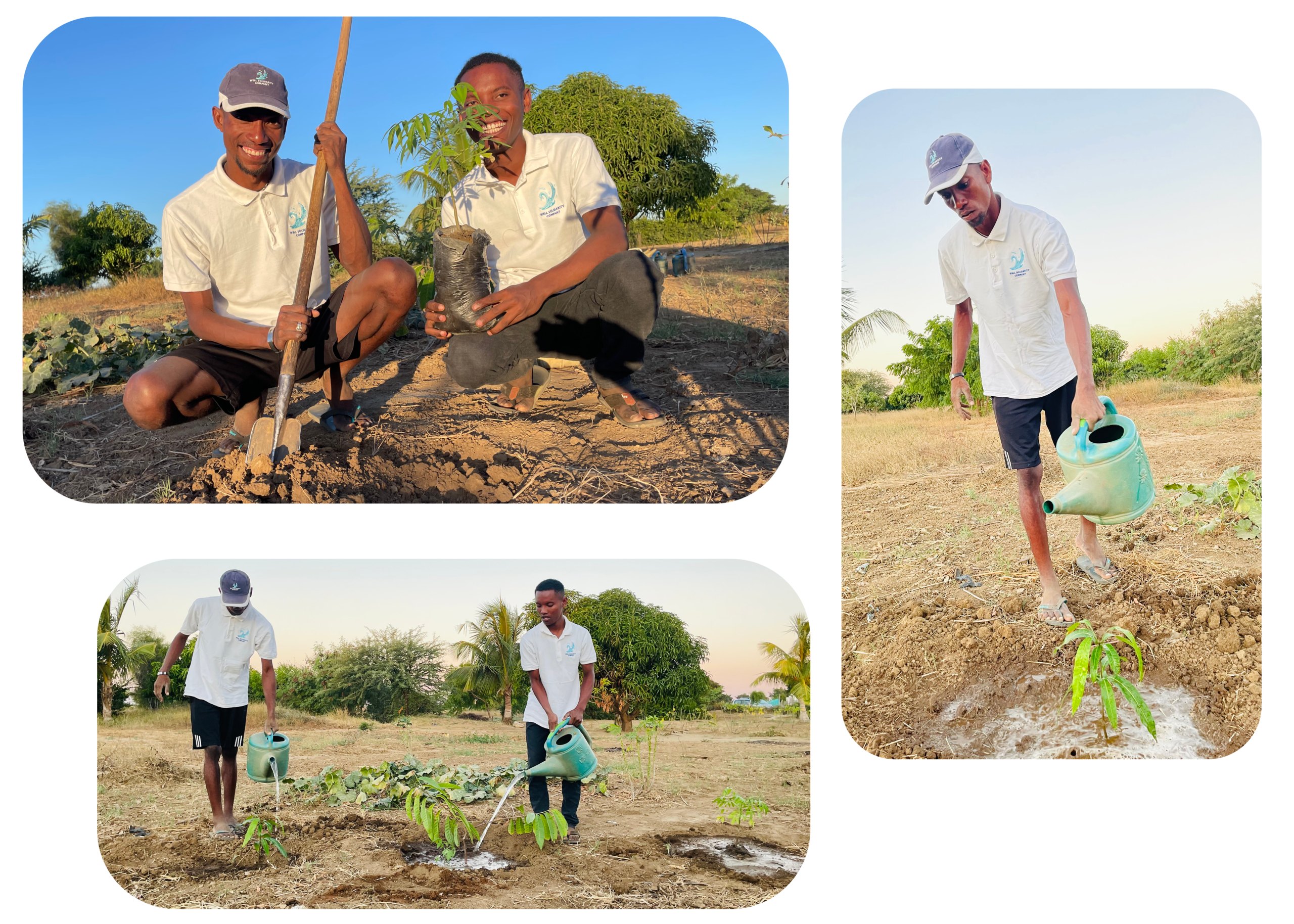 Personnes arrosant des plantes dans un champ ensoleillé.