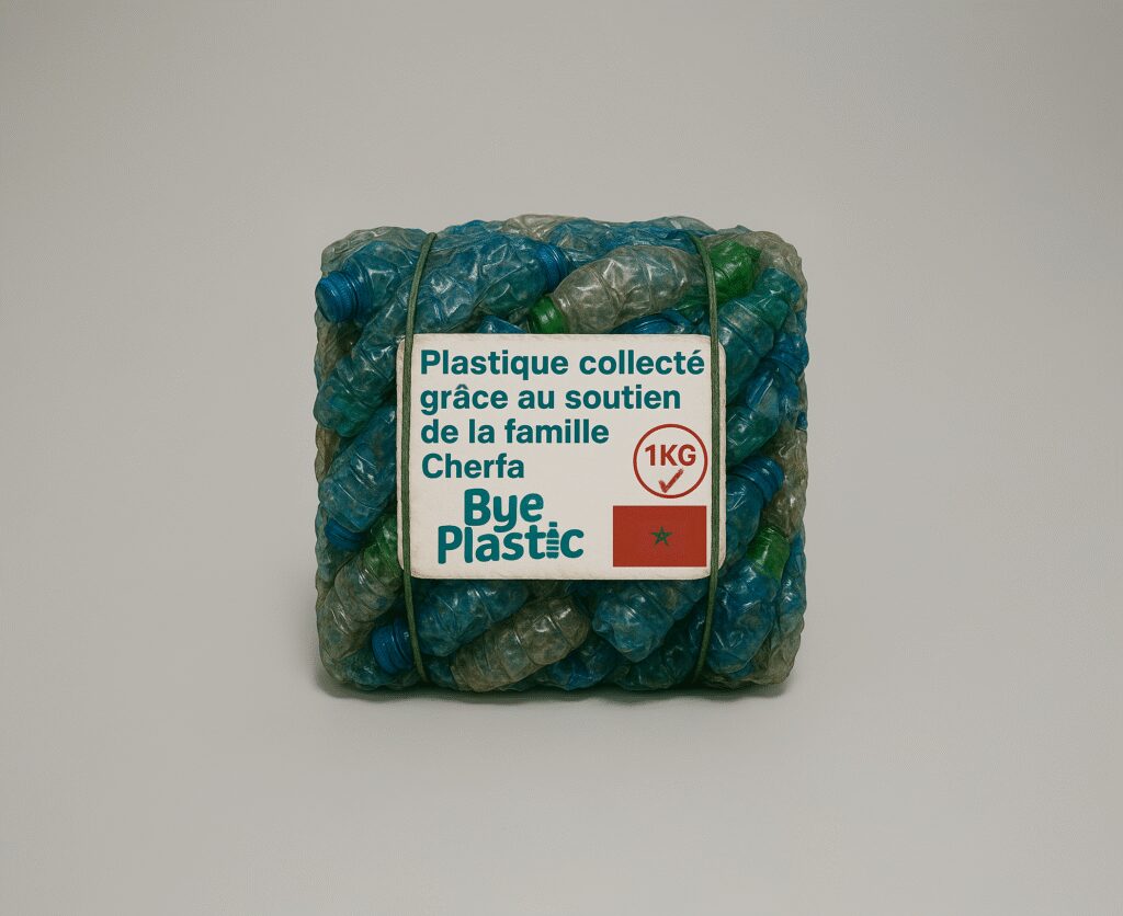 Briques de bouteilles en plastique compacté, recyclage écologique.