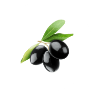 Trois olives noires sur une branche.