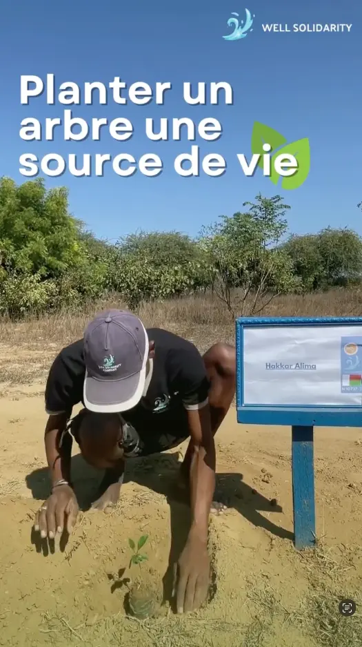 Homme plantant un arbre avec panneau à côté