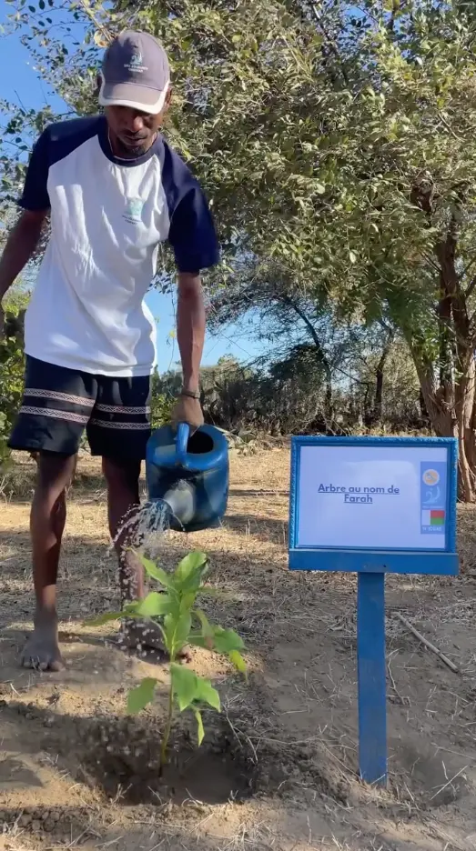 Homme arrose un arbre avec un arrosoir bleu.