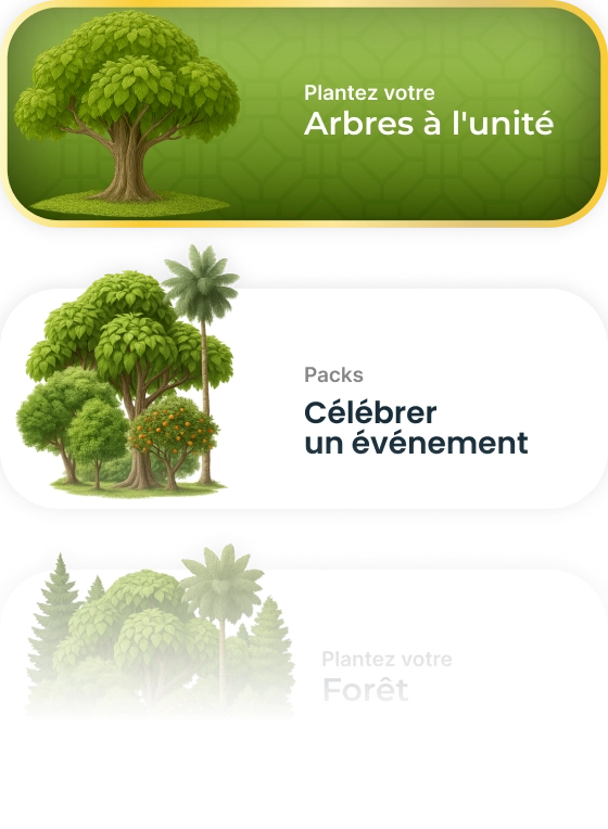 Illustrations d'arbres pour plantation et célébration.